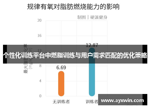 个性化训练平台中燃脂训练与用户需求匹配的优化策略
