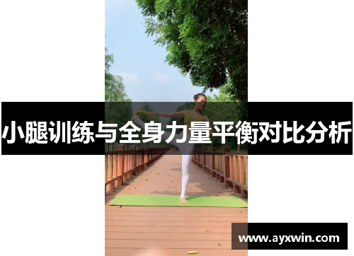 小腿训练与全身力量平衡对比分析 小腿训练与全身力量平衡对比分析
